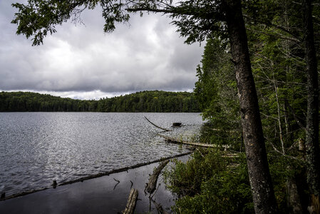 Landscape of Jack Lake in Algonquin Provincial Park, Ontario photo