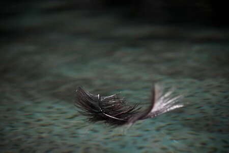 Float feathers floating pen