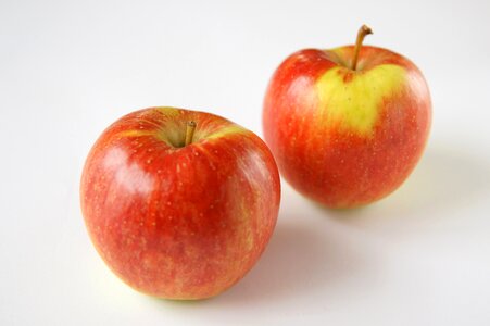 Agriculture apple diet