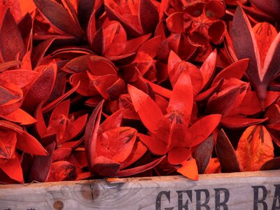 Red sale stand