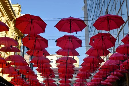 Umbrella color outdoors