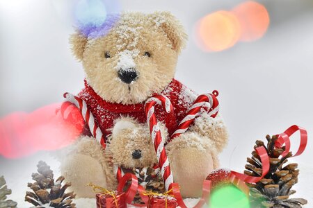Christmas lights teddy bear toy
