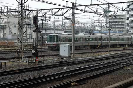 1 Sanin Line