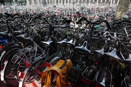 Biking city crowded