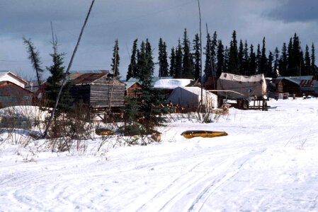 Allakaket Log Building photo