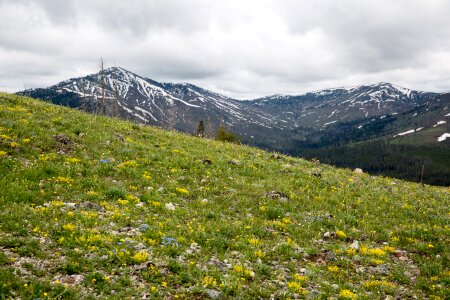 Mount Washburn, Yellowstone National Park photo