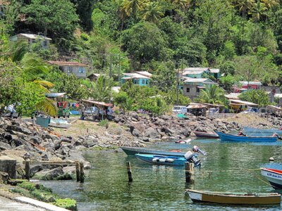 Boats trees shoreline