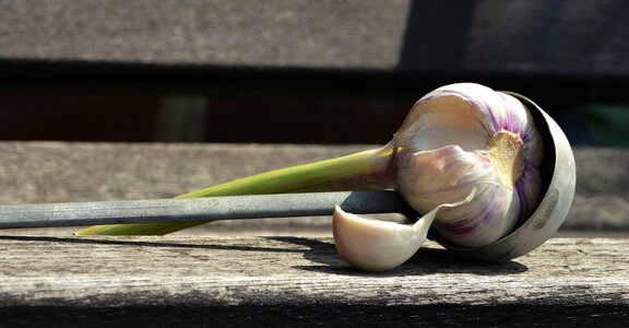 Bench food garlic photo