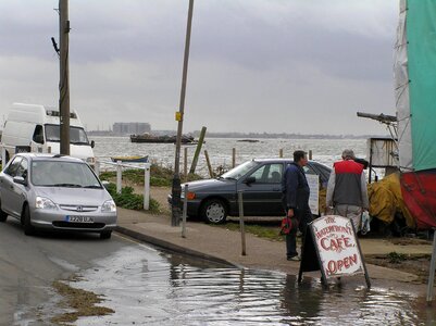 Flood viola 