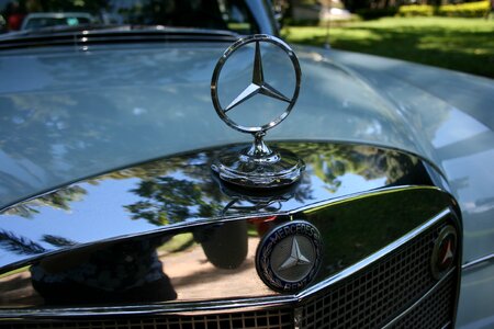 Mercedes benz old car hood photo