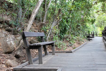 Happy park wooden photo