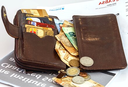 Coin coins economic growth