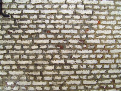 Brick wall 