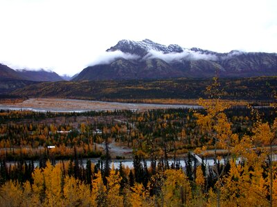Fall foliage a river bridge below