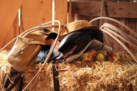 Lasso hay straw