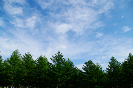 17 Sky