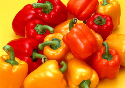 set of colored bell peppers photo