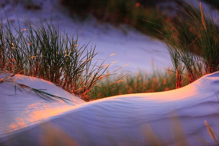 The coast sunset sand