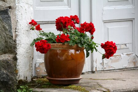 Red door staircase
