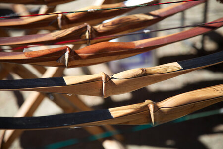Traditional bows on rack