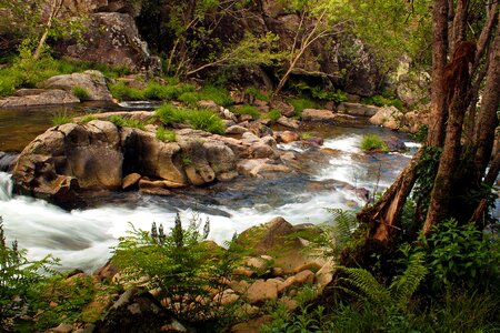 Beautiful Photo creek environment