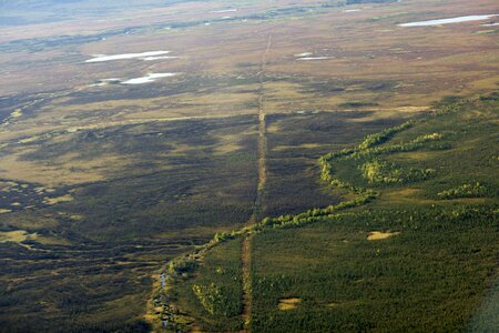 Ancient domestic nature