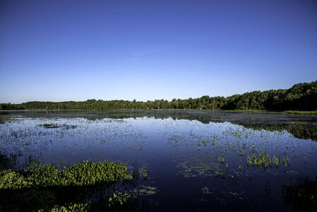 Small lake landscape in Chequamegon National Forest, Wisconsin