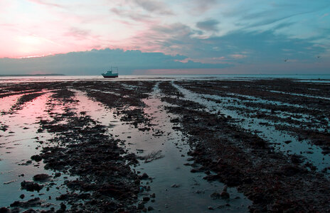 Low Tide photo