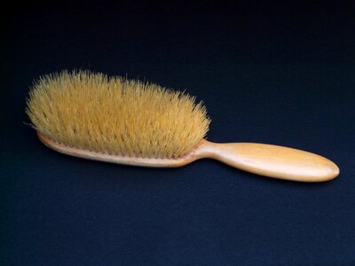 Brush dresses clean