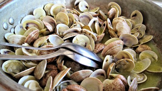 Seafood italy sea food photo