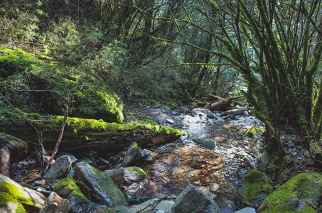 Garding Lake Trail