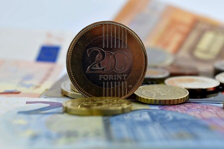 Coins euro forint photo