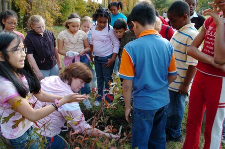 Babies plant teacher