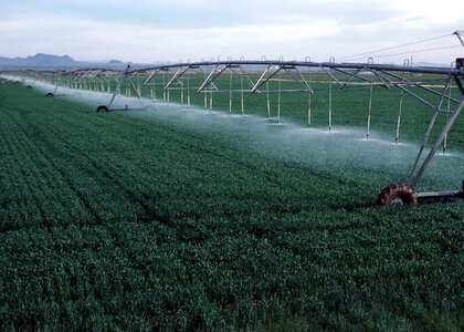 Center-pivot irrigation of wheat growing in Yuma County, Colorado photo