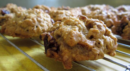 Biscuit calorie cookie photo