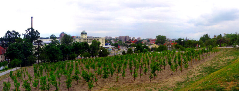 Panorama of the city from the vineyards in Zielona Gora, Poland photo