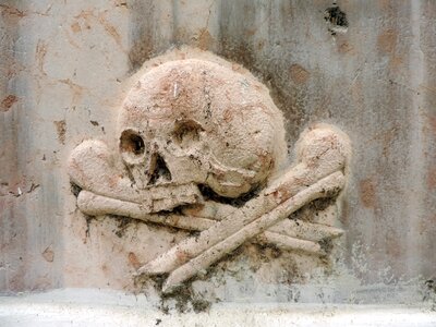 Bones marble skull photo