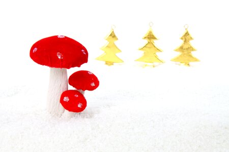Holiday isolated mushroom photo