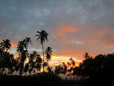 Hawaii ocean sunrise