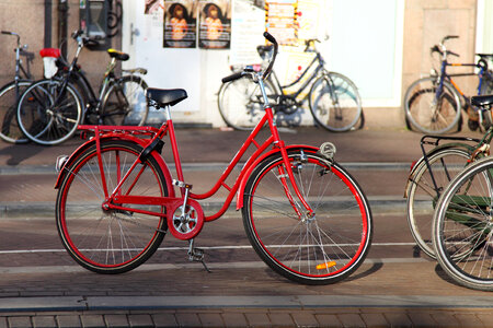 Bicycles in Holland photo