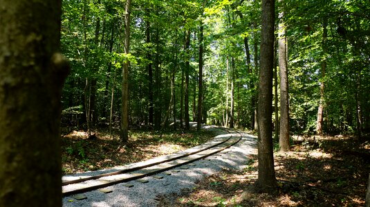 Lake Trail Burke Lake Park Virginia