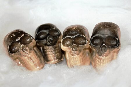 Bone skull fear