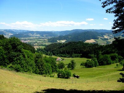 Landscape distant view haley mountain