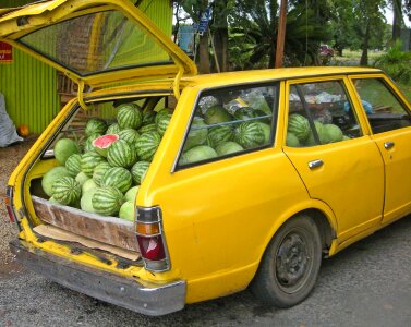 Loaded funny melon