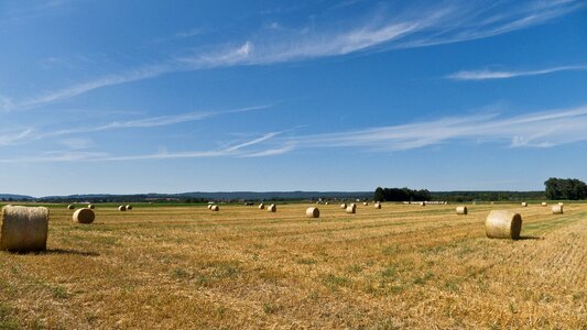 Fields landscape summer photo