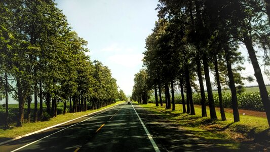Green landscape sky