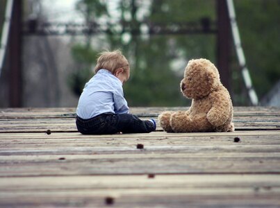 Toy teddy bear