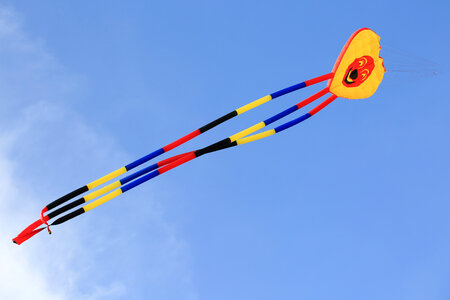 Kite in the sky