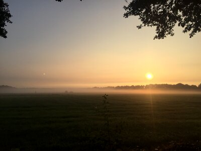 Dawn dusk field
