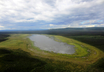Wetland at Yukon Flats National Wildlife Refuge-1 photo